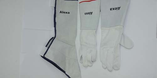 Alexa Gloves